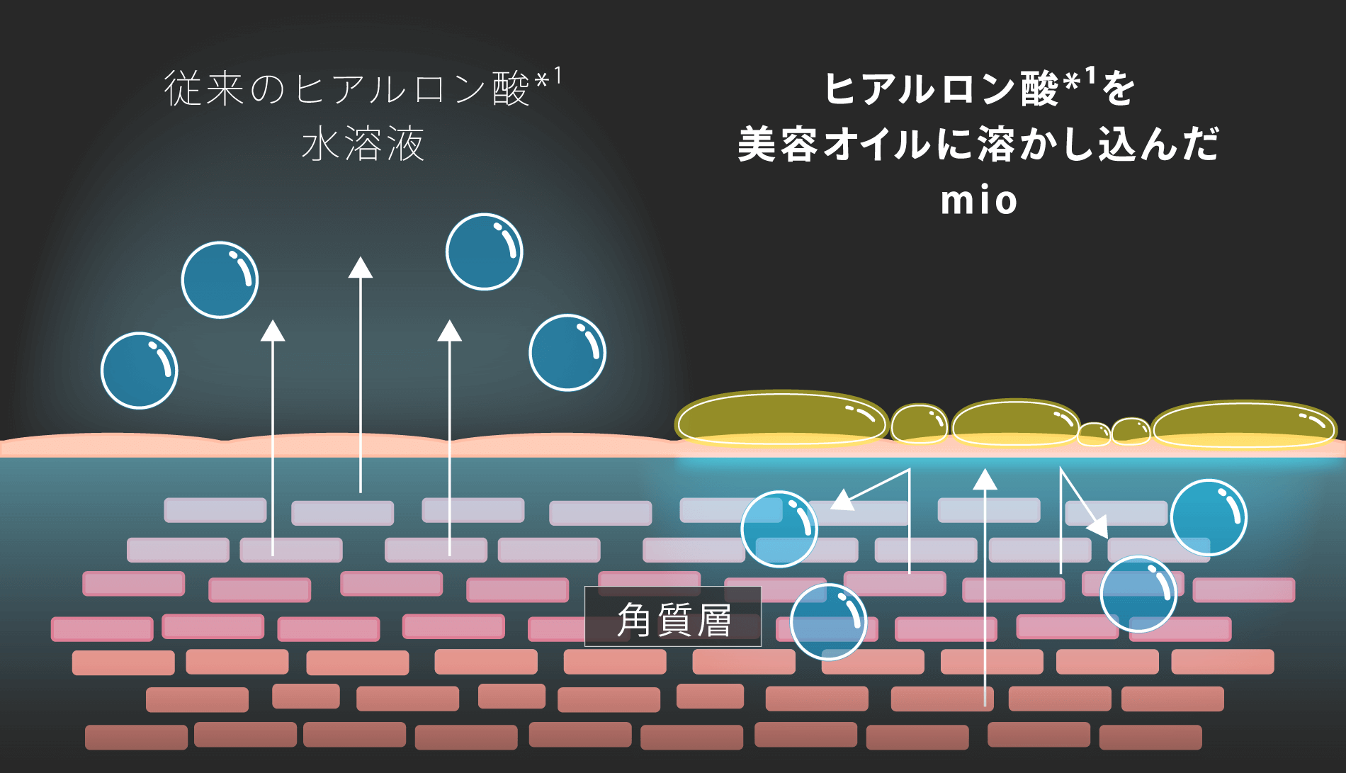 オイルが潤いを閉じ込めます